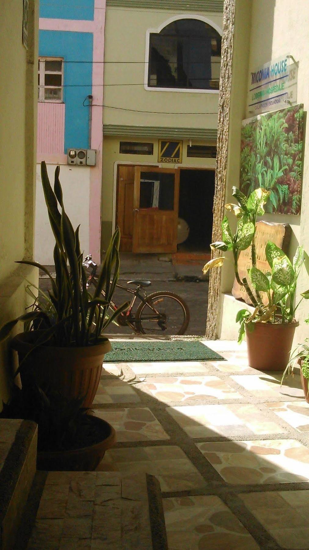 Hostal Miconia 푸에르토아요라 외부 사진